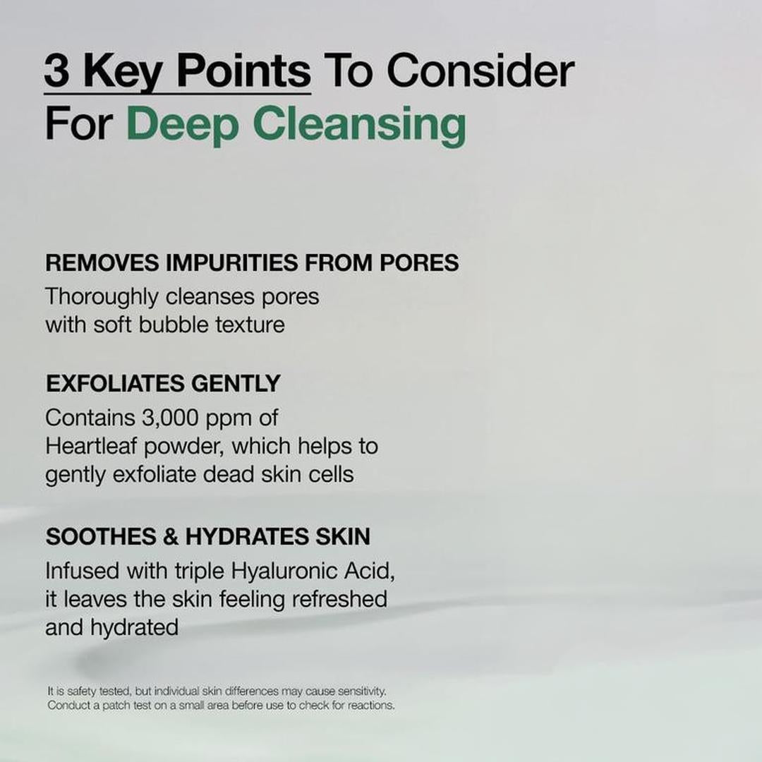 Hankook Bit Sunsu Heartleaf Quercetin Pore-Deep Cleansing Foam— Purify Pores Without